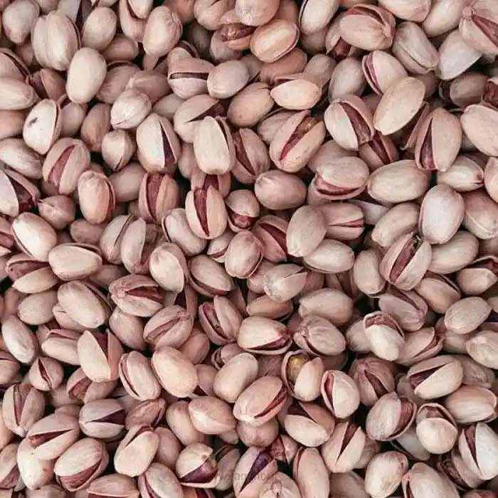 تصویر 2 از خرید پسته کله قوچی درجه یک + قیمت فروش استثنایی